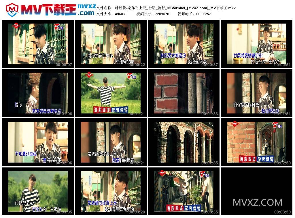 叶胜钦-宠你飞上天_台语_流行_MC501469